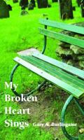 My Broken Heart Sings 098258007X Book Cover