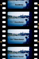 Accidency 1931824371 Book Cover