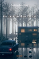 Un Inconnu dans la nuit (French Edition) 2414580518 Book Cover