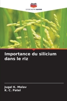 Importance du silicium dans le riz 6136330857 Book Cover