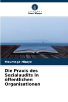 Die Praxis des Sozialaudits in �ffentlichen Organisationen 6204128604 Book Cover