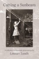 Cutting a Sunbeam: A collection of ekphrastic prose-poems 1639802371 Book Cover