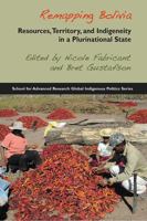 Remapping Bolivia: Resources, Territory, And Indigeneity In A Plurinational State 1934691518 Book Cover