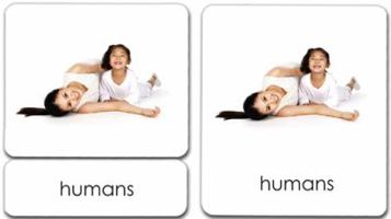 Living 3-Part Reading Cards B0019Z9ROK Book Cover