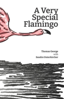 A Very Special Flamingo B0BT7BHKQQ Book Cover