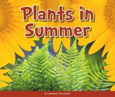 Plants in Summer 1503823814 Book Cover