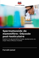 Spermatozoïde de mammifère: Odyssée post-testiculaire 6203154946 Book Cover