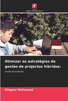 Otimizar as estratégias de gestão de projectos híbridos (Portuguese Edition) 620994163X Book Cover