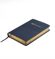 Rv-60 Biblia de Promesas - Letra Grande- Edicin Negra Imitacin Piel 0789925613 Book Cover
