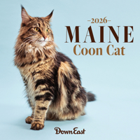 2026 Maine Coon Cat Wall Calendar 1944094628 Book Cover