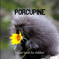 Porcupine: Picture book for children B0CWH8Y5DW Book Cover