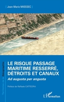Le risque passage maritime resserré, détroits et canaux: Ad augusta per angusta (Territoires de la Géographie) 234324815X Book Cover