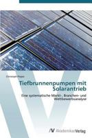 Tiefbrunnenpumpen mit Solarantrieb: Eine systematische Markt-, Branchen- und Wettbewerbsanalyse 363938606X Book Cover