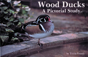 Wood Ducks: A Pictorial Study 0887401554 Book Cover
