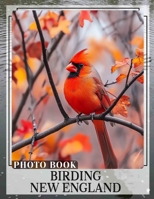 Birding New England Photo Book: Explore New England's Avian Life Through 40 Stunning Images Perfect For Birdwatching Enthusiasts B0DQ46YB6X Book Cover