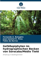 Gefäßepiphyten im hydrographischen Becken von Sorocaba/Médio Tietê (German Edition) 620774926X Book Cover