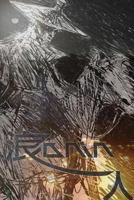 Ronin 1535033029 Book Cover