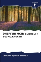 ЭНЕРГИЯ МСП: вызовы и возможности 6204153307 Book Cover