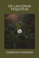 DE LAS COSAS PEQUEÑAS (Spanish Edition) B0FLQGHFBW Book Cover