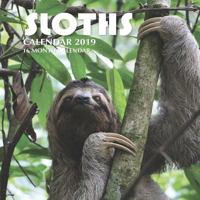 Sloths Calendar 2019: 16 Month Calendar 1729224660 Book Cover