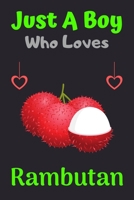 Just A Boy Who Loves Rambutan: A Super Cute Rambutan notebook journal or dairy | Rambutan lovers gift for boys | Rambutan lovers Lined Notebook Journal (6"x 9") 1679371487 Book Cover