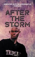 After the Storm 1789556600 Book Cover