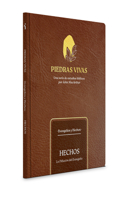 Piedras vivas: Hechos - Estudio bíblico: La difusión del evangelio (Spanish Edition) B0DT8P7WV6 Book Cover