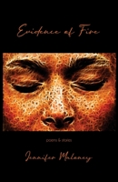 Evidence of Fire 1957221100 Book Cover