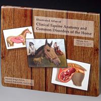 Illustrated Atlas of Clinical Equine Anatomy and Common Disorders of the Horse 0965446107 Book Cover