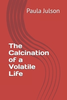 The Calcination of a Volatile Life B0CR8KW2TW Book Cover