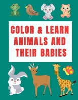COLOR & LEARN ANIMALS AND THEIR BABIES: a coloring activity book to learn animal's names with interactive games B08LR2VVBN Book Cover