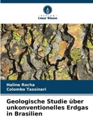 Geologische Studie über unkonventionelles Erdgas in Brasilien (German Edition) 6208371775 Book Cover