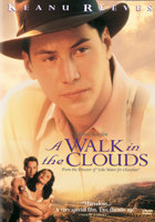 A Walk in the Clouds