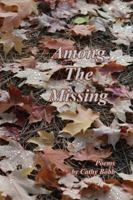 Among the Missing 0986358916 Book Cover