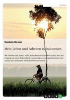 Mein Leben und Arbeiten in Indonesien: Wie definiert sich Kultur, wof�r Kulturdimensionen hilfreich sind, �ber den Umgang mit einem Kulturschock, meiner eigenen Ambiguit�tstoleranz und warum nicht jed 366835801X Book Cover