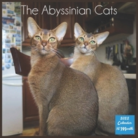 The Abyssinian Cats Calendar 2022: Official Abyssinian Cat Breed Calendar 2022, 16 Month Square Calendar B095WT98K2 Book Cover