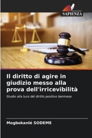 Il diritto di agire in giudizio messo alla prova dell'irricevibilità (Italian Edition) 6209983545 Book Cover