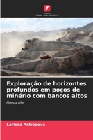 Exploração de horizontes profundos em poços de minério com bancos altos 6205833425 Book Cover