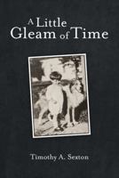 A Little Gleam of Time 148084411X Book Cover