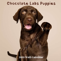Chocolate Labs Puppies 2021 Wall Calendar: Chocolate Labs 2021 Calendar,18 Months B08PXCZHPN Book Cover