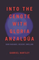 Writing the Continental Divides: Meditations on Indigenism, Chicanismo, and Planetary Consciousness 1666970913 Book Cover