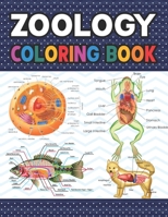 Zoology Coloring Book: Collection of Simple Illustrations of Zoology. The New Surprising Magnificent Learning Structure For Veterinary Anatomy ... book. Vet tech & Zoology Coloring Books. B08R1FR3HK Book Cover