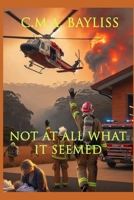 Not At All What It Seemed B0F92SHQDK Book Cover