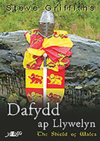Dafydd AP Llywelyn: The Shield of Wales 1847713386 Book Cover