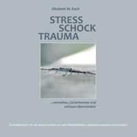 Stress Schock Trauma ... verstehen, (an)erkennen und achtsam überwinden: Ein Arbeitsbuch für die ersten Schritte zu mehr Wohlbefinden, Selbstbewusstsein und Intuition 3743180928 Book Cover