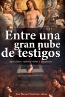 ENTRE UNA GRAN NUBE DE TESTIGOS: Apariciones, sueños y visitas al Purgatorio (Spanish Edition) B0DNCBK9KN Book Cover