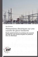 Phénomènes Électriques Sur Une Couche de Glace Fondante 3838172388 Book Cover