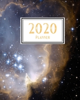 2020 Planner: Weekly and Monthly Planner Calendar Jan 1, 2020 to Dec 31, 2020: Monthly Goals Sheet 1654884316 Book Cover