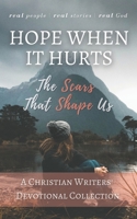 Hope When it Hurts: The Scars that Shape Us: A Christian Writers' Collection 0999872532 Book Cover