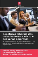 Benefícios laborais dos trabalhadores e micro e pequenas empresas 6207798155 Book Cover